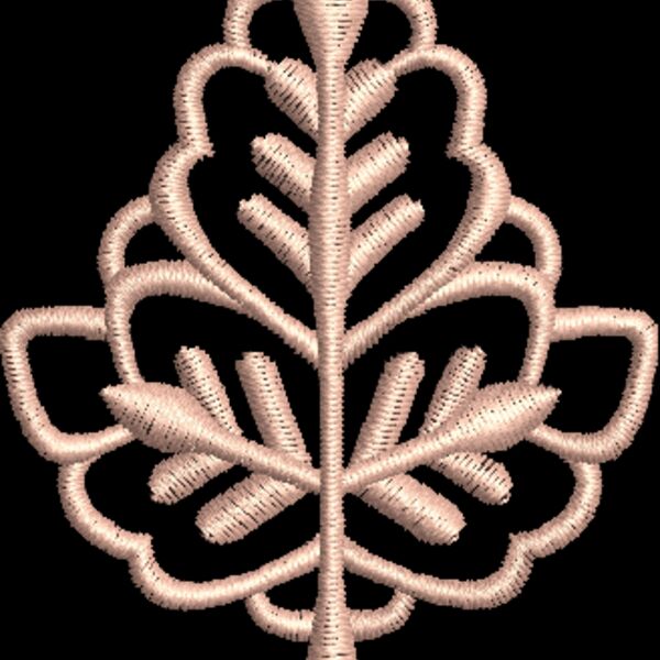 NZ349 Thumbnail